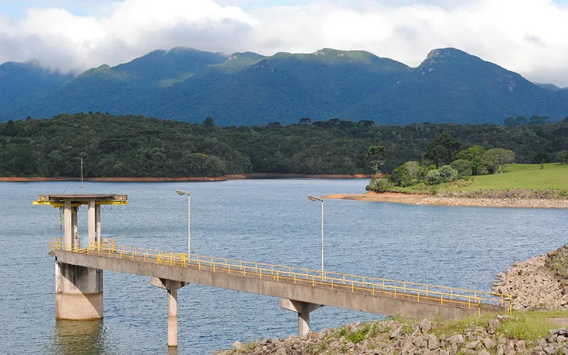 Edital oferece recompensa financeira a proprietários de terras que preservarem áreas naturais