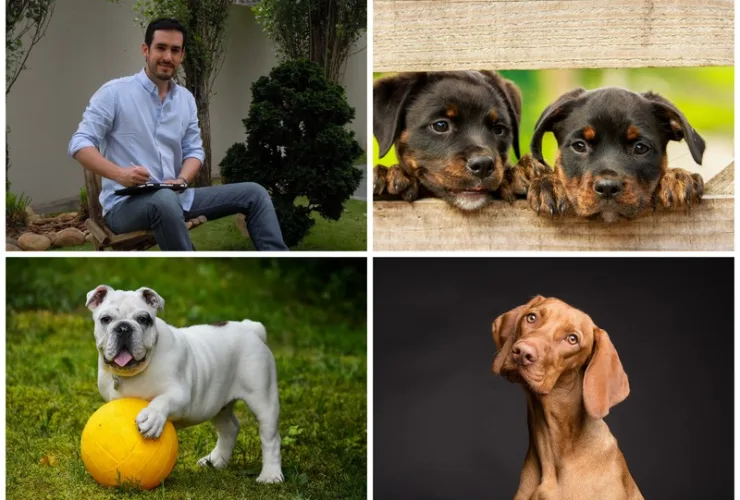 Programa incentiva consumo consciente no mercado pet em alta