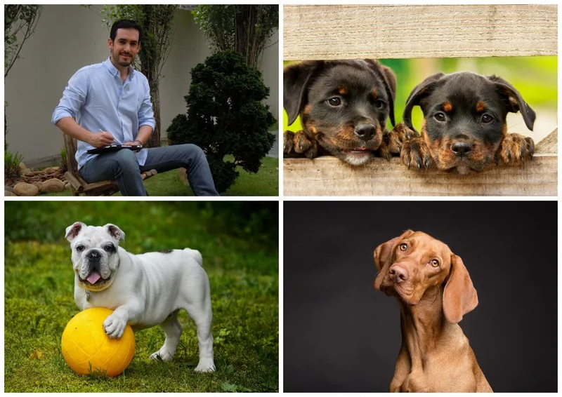 Programa incentiva consumo consciente no mercado pet em alta