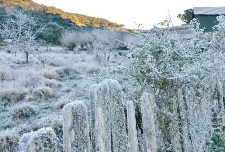 Estação mais fria do ano tem neve, florada de ipês e visita de baleias