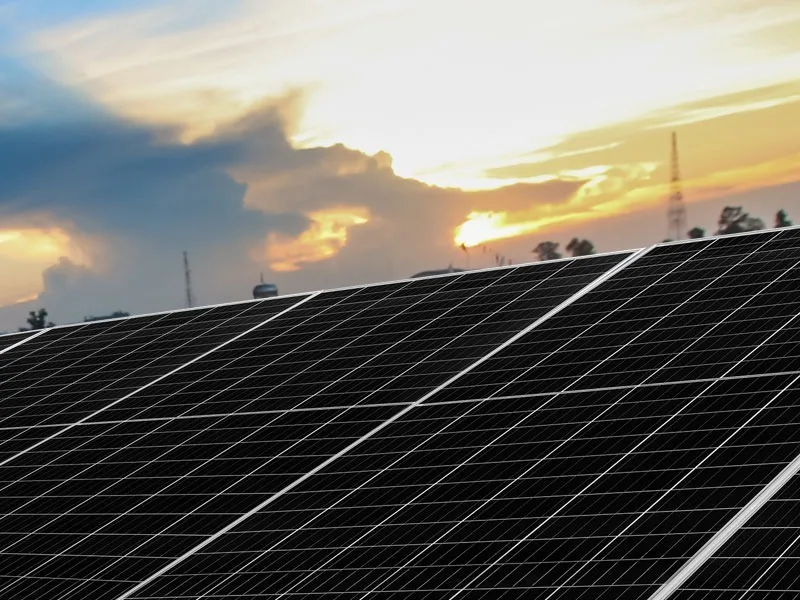 O mundo pode ser mais limpo e sustentável pós Covid-19