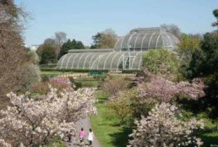 Primavera virtual: jardins britânicos para ver de casa