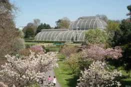 Primavera virtual: jardins britânicos para ver de casa