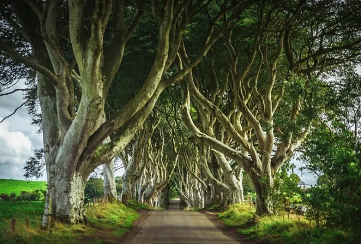 12 séries para assistir sobre o Reino Unido