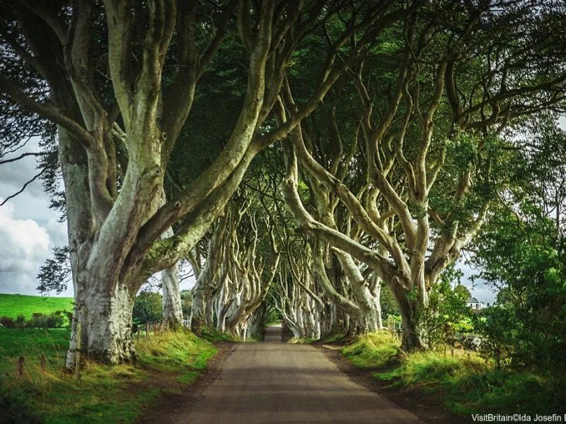 12 séries para assistir sobre o Reino Unido