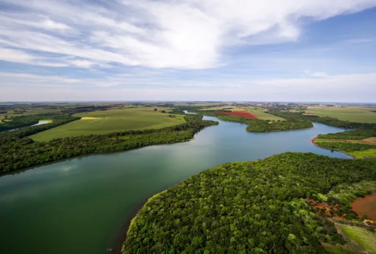 Dia da Mata Atlântica: Itaipu já recuperou quase 30% do bioma no Paraná