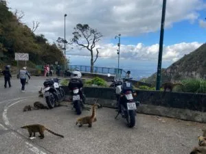 Destinos pra curtir uma viagem sobre duas rodas