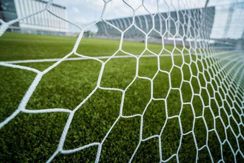 Grêmio x Palmeiras: saiba como lucrar com o seu palpite na final da Copa do Brasil 2020