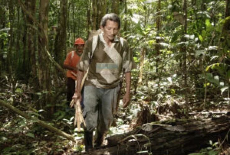 Total de gases emitidos pelo transporte de cargas de empresa foi compensado na preservação de área na Amazônia
