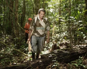 Total de gases emitidos pelo transporte de cargas de empresa foi compensado na preservação de área na Amazônia
