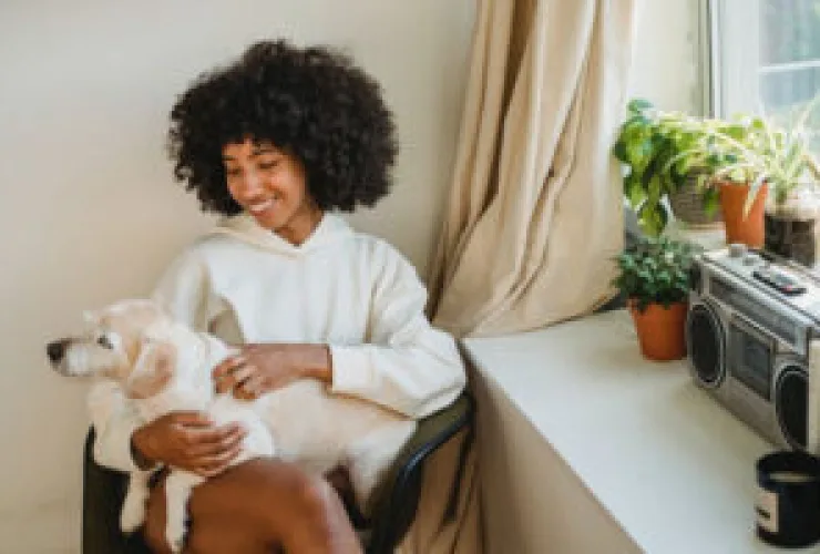 Tem pet em casa? Cuidado com plantas tóxicas