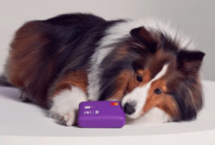 Nubank e Zee.Dog se unem para por um fim na destruição de cartões por cachorros