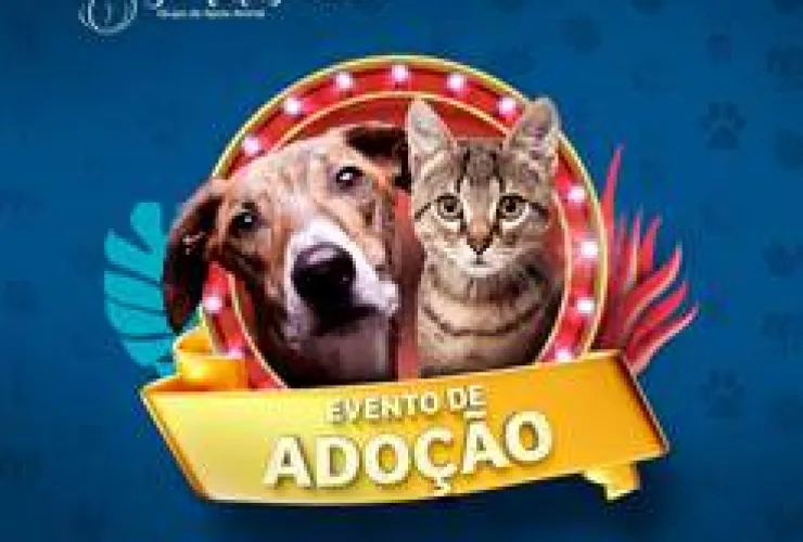Boulevard Shopping volta a sediar evento físico de adoção de pets neste domingo