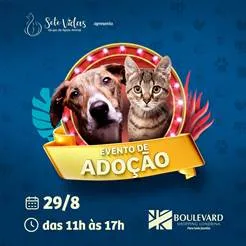 Boulevard Shopping volta a sediar evento físico de adoção de pets neste domingo