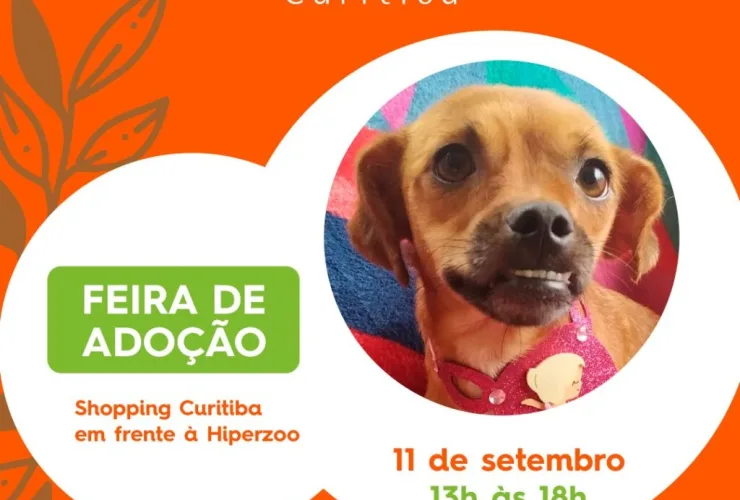 Shopping Curitiba promove ação de adoção de cães neste sábado (11)