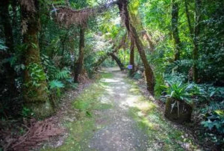 Contato com a natureza é fundamental para o desenvolvimento das crianças e bem-estar de todos