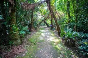 Contato com a natureza é fundamental para o desenvolvimento das crianças e bem-estar de todos
