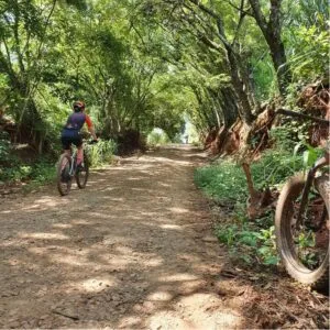 Circuito Pé Vermelho de Cicloturismo será lançado amanhã (03) em Londrina