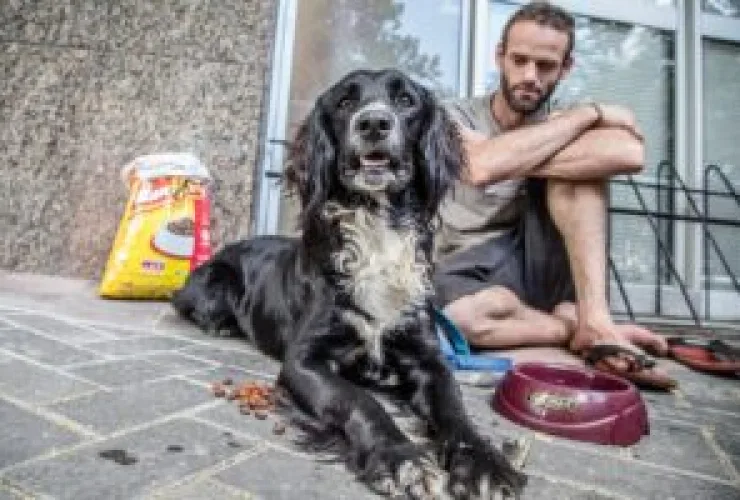 Com venda de livros, Editora MOL e Grupo Petz arrecadam mais de R$ 3 milhões para ONGs de proteção animal