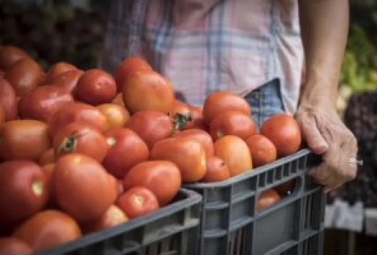 Economia local liberta os pequenos negócios para concorrer com as grandes redes atacadistas