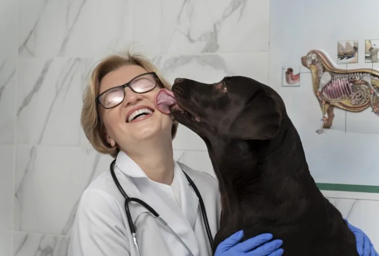3 motivos para apostar na imunidade do seu pet - e da sua família também!