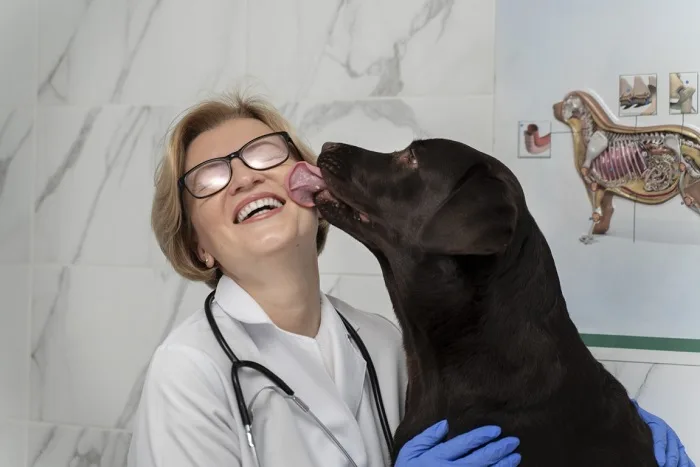 3 motivos para apostar na imunidade do seu pet - e da sua família também!