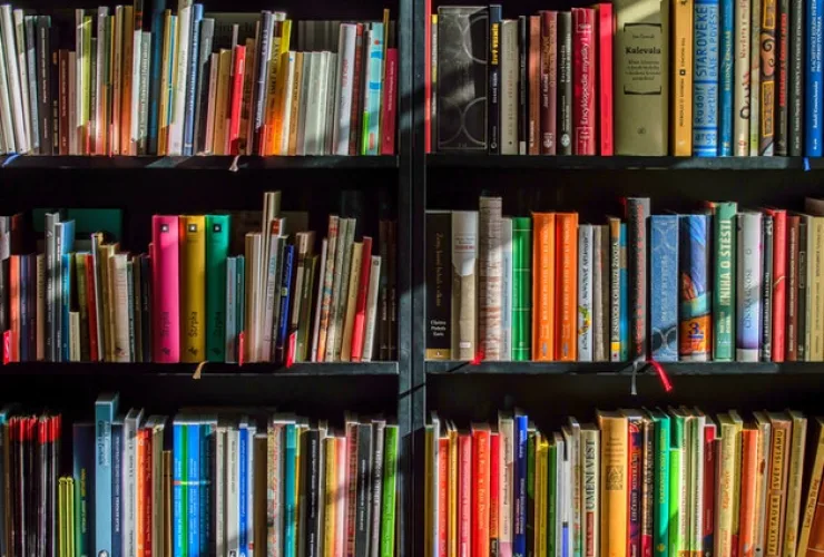 Educação: qual a importância das biografias e autobiografias no estudo da história?