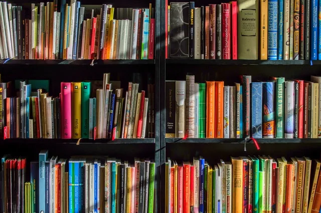 Educação: qual a importância das biografias e autobiografias no estudo da história?