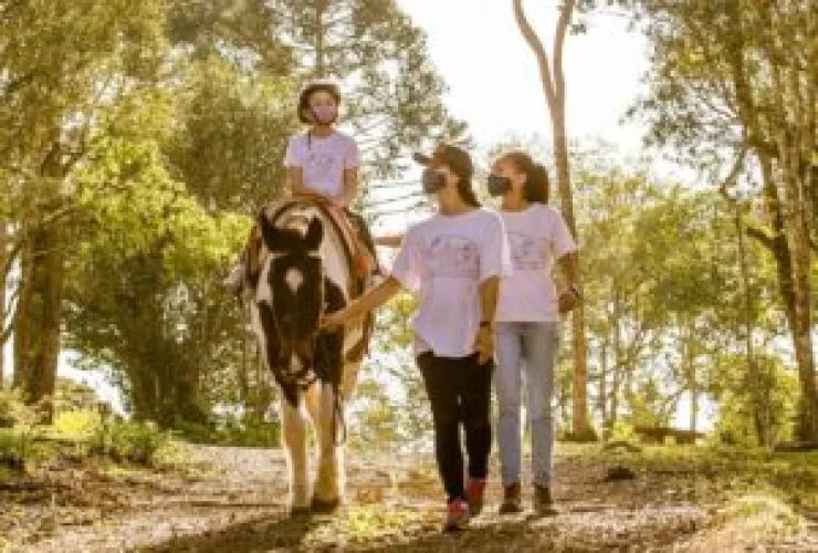 Projeto de equoterapia já auxiliou mais de 600 crianças e jovens com necessidades especiais