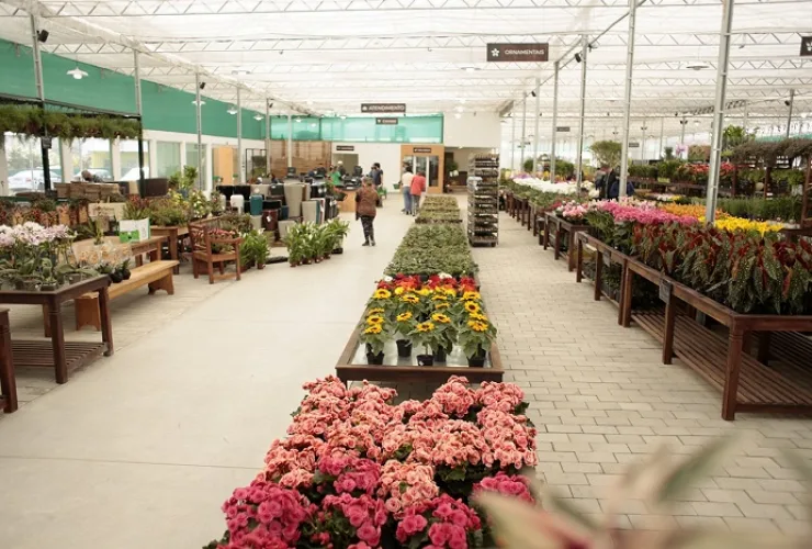Mercado de flores espera Dia das Mães com altas nas vendas presenciais
