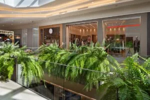 Jockey Plaza Shopping completa 3 anos e distribui mudas de sua samambaia holandesa
