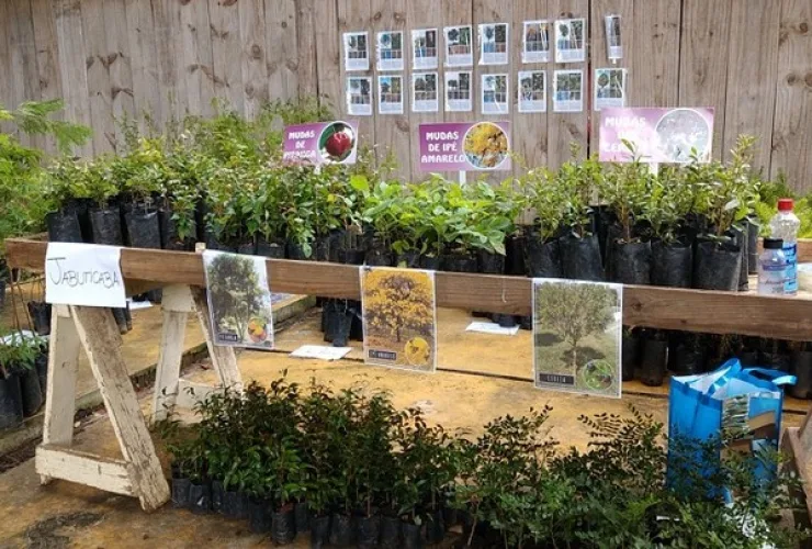 Semana do meio ambiente: horto de Campo Largo trocará material reciclável por mudas de árvores