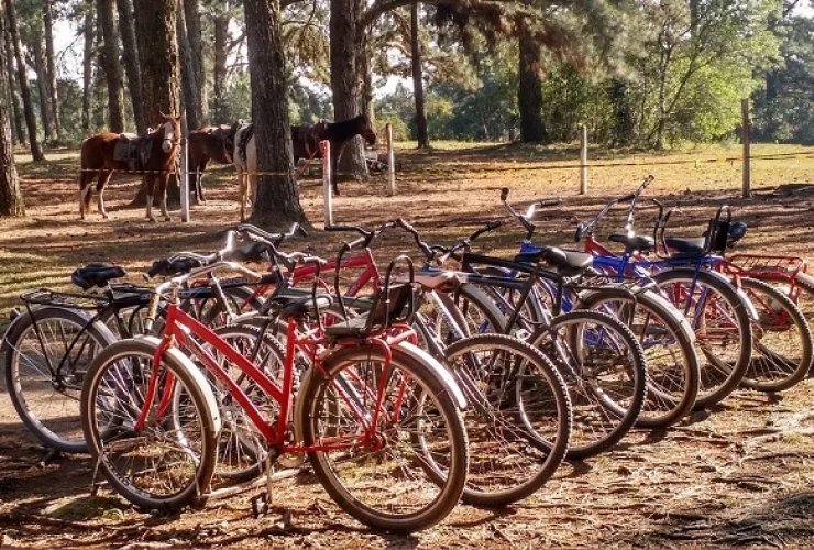 Inverno: Pousada Parque São Luiz do Purunã oferece o que há de melhor em lazer e gastronomia
