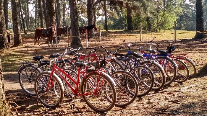 Inverno: Pousada Parque São Luiz do Purunã oferece o que há de melhor em lazer e gastronomia