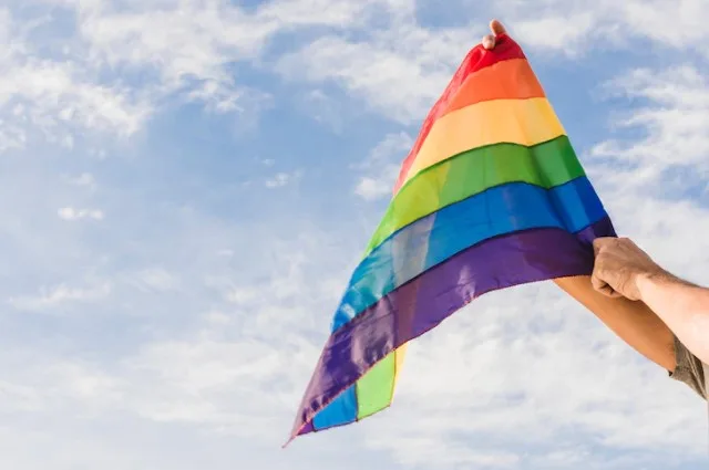 A persistência da vulnerabilidade da população LGBTQIA+ no Brasil