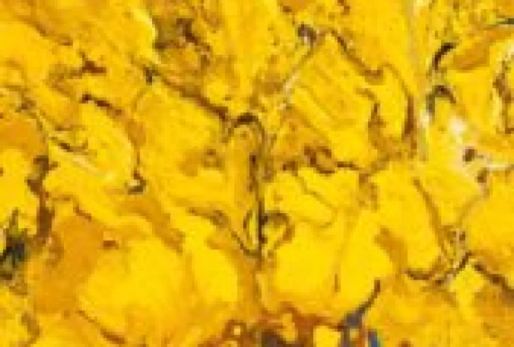 Exposição Entre Matéria, Memória e Imagem resgata o apelo da memória afetiva