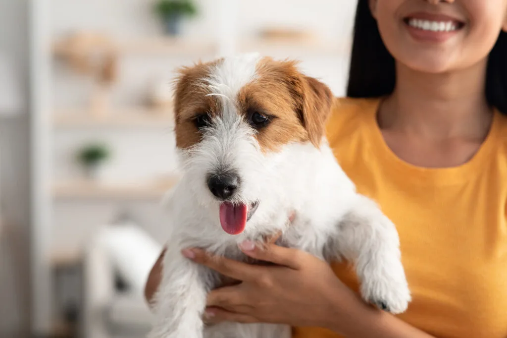 Feira de adoção pet tem 100% de adesão e ganhou ainda mais força nos últimos meses
