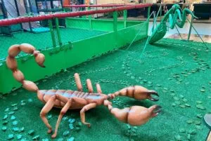 Parque no Aurora Shopping apresenta "Mundo dos Insetos Gigantes"