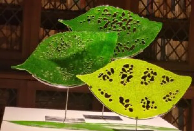 Texturas e perfurações em belas formas orgânicas ressaltam obra brasileira na Itália