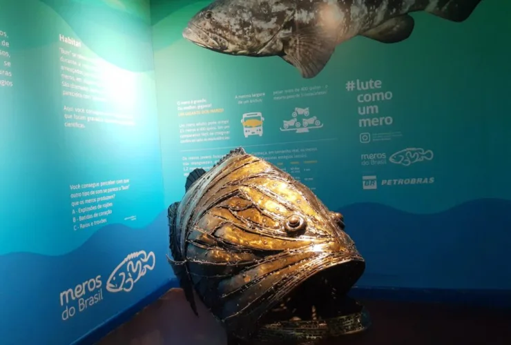 Museu de História Natural Capão da Imbuia ganha espaço dedicado à preservação da vida marinha