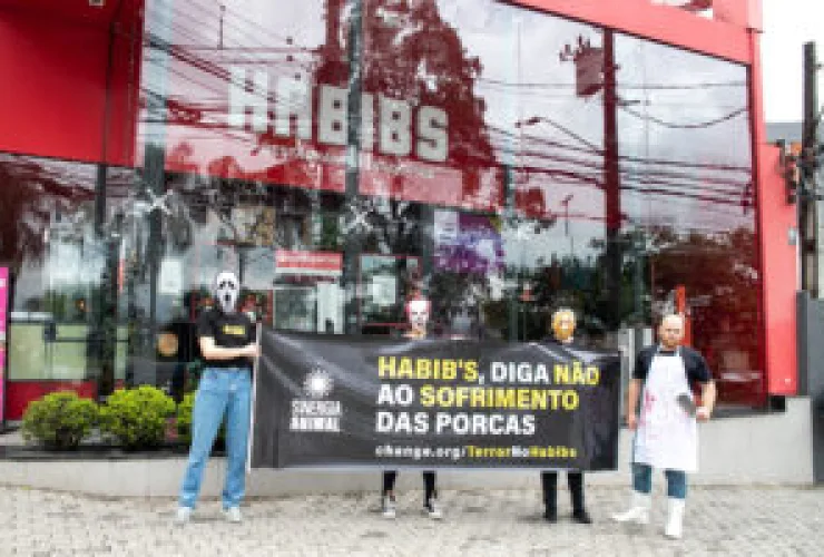 Em clima de Halloween, ativistas pedem que Habib's se posicione contra o  sofrimento animal