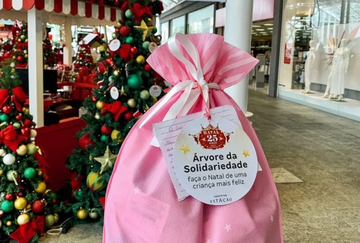 Árvore da Solidariedade arrecada presentes de Natal para a Acridas