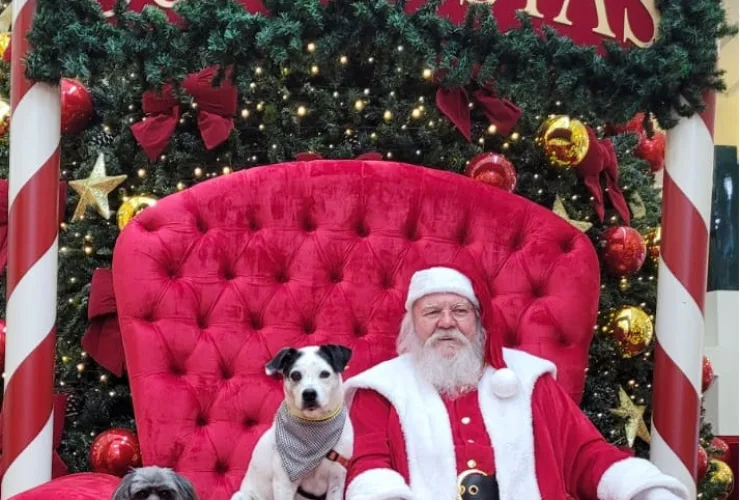 Neste domingo tem Encontro Pet de Natal no Shopping Curitiba, com sessão de fotos com o Papai Noel