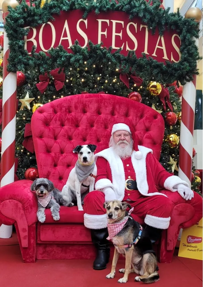 Neste domingo tem Encontro Pet de Natal no Shopping Curitiba, com sessão de fotos com o Papai Noel