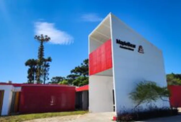 São José dos Pinhais recebe escola de ensino bilíngue por imersão