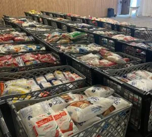 Ingresso solidário no Carnaval do Aurora Shopping  rende mais de 3 toneladas de alimentos ao HCL