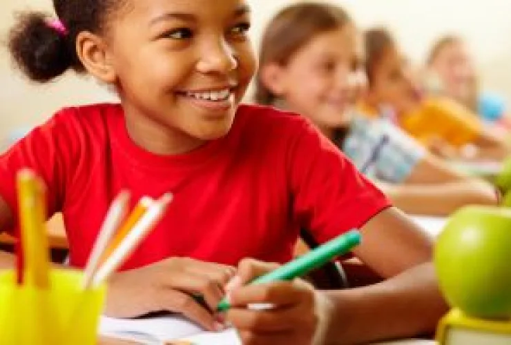 Brasil deve priorizar educação cidadã para fortalecer cultura democrática