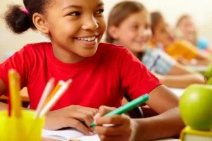 Brasil deve priorizar educação cidadã para fortalecer cultura democrática