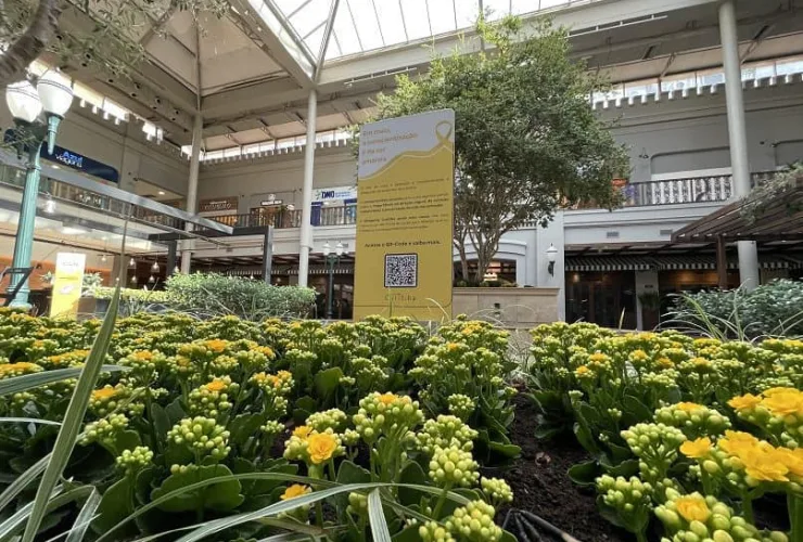 Maio amarelo: shopping Curitiba se une ao movimento e recebe flores amarelas