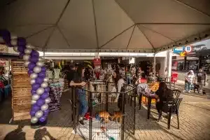 Evento agitou Curitiba com 10 horas de moda, serviços e empreendedorismo feminino